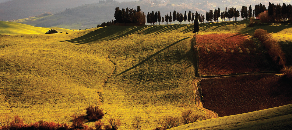 Boceli Wines
