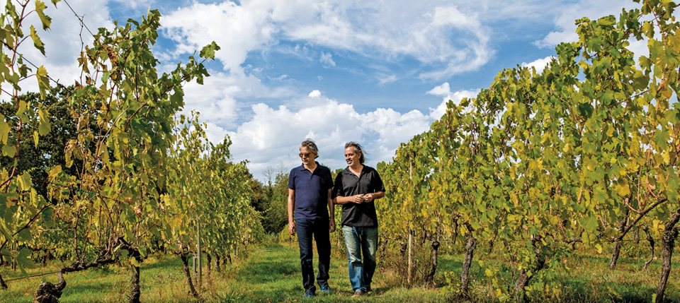 Bocelli Family Wines